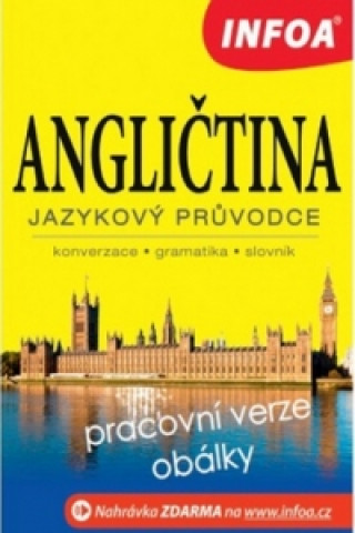 Könyv Angličtina Jazykový průvodce Pavlína Šamalíková