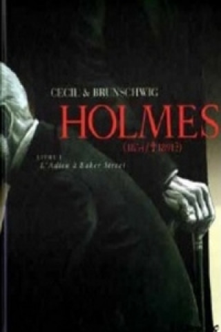 Könyv Holmes 1+2 Luc Brunschwig