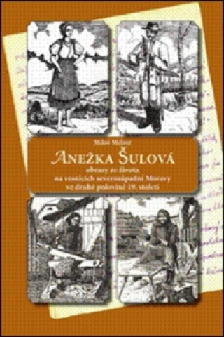 Kniha Anežka Šulová Miloš Melzer