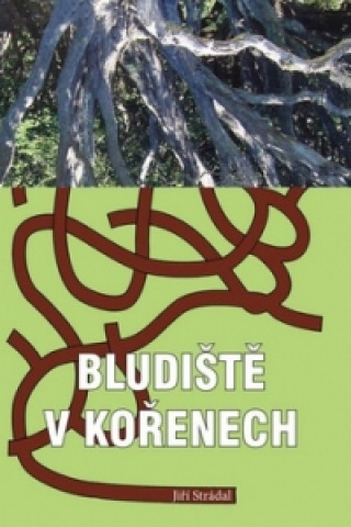 Livre Bludiště v kořenech Jiří Strádal