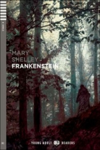Kniha Frankenstein MARY SELLEY