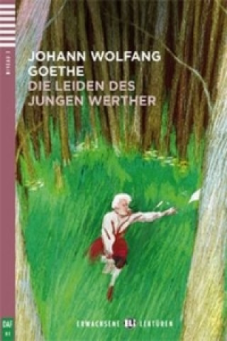 Kniha Die Leiden des jungen Werther Johan Wolfgang Goethe