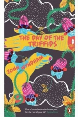 Książka The Day of Triffids John Wyndham