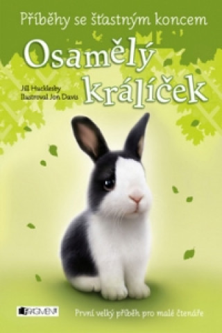 Livro Příběhy se šťastným koncem Osamělý králíček Jill Hucklesby