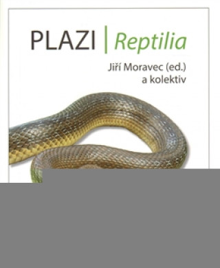 Książka Plazi/ Reptilia Jiří Moravec