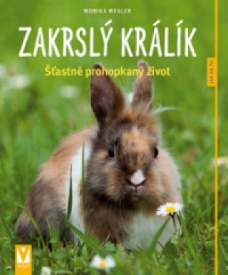 Kniha Zakrslý králík Monika Weglerová
