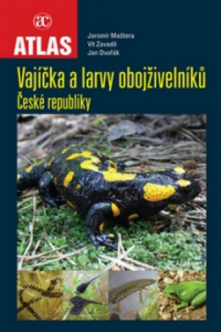 Kniha Vajíčka a larvy obojživelníků České republiky Jaromír Maštera; Vít Zavadil; Jan Dvořák