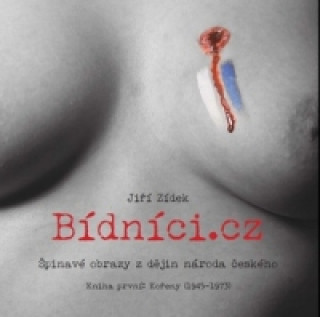 Книга Bídníci.cz Jiří Zídek