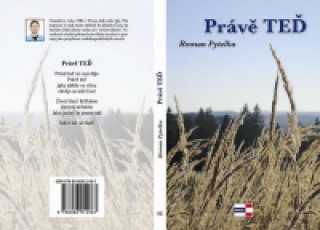 Buch Právě teď Roman Pytelka