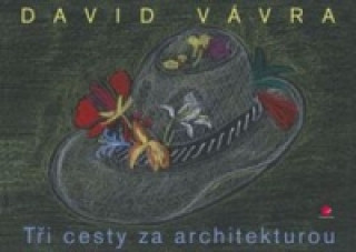 Kniha Tři cesty za architekturou David Vávra