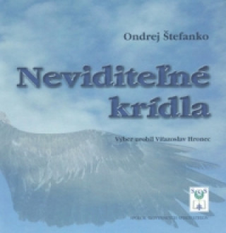 Könyv Neviditeľné krídla Ondrej Štefanko