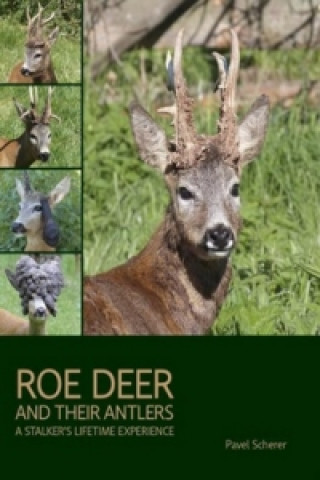 Книга Roe Deer and their Antlers Pavel Scherer