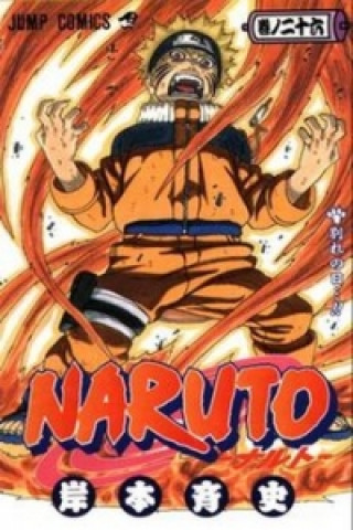 Book Naruto 26: Odloučení Masashi Kishimoto