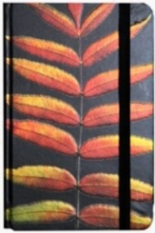 Kniha Zápisník s gumičkou 95x140 mm černý s listy A 