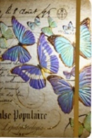 Kniha Zápisník s gumičkou 95x140 mm zlatý s motýli A 