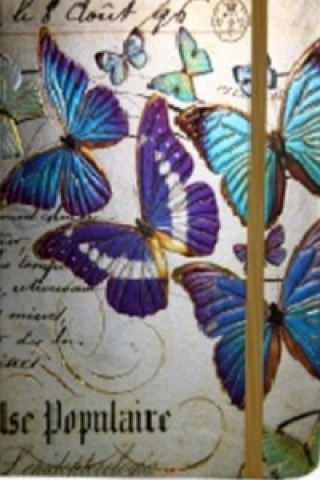 Kniha Zápisník s gumičkou 178x126 mm zlatý s motýli F 