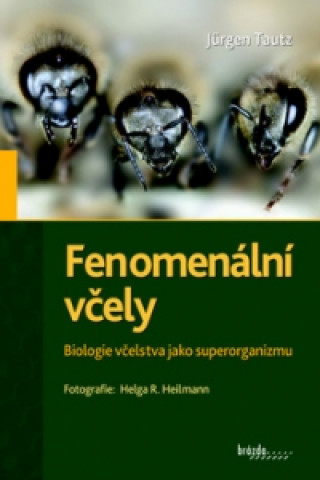 Kniha Fenomenální včely Jürgen Tautz