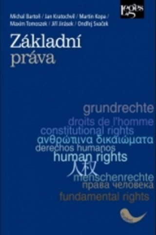Kniha Základní práva Jiří Jirásek