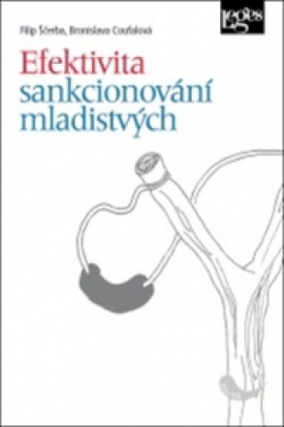 Kniha Efektivita sankcionování mladistvých Bronislava Coufalová
