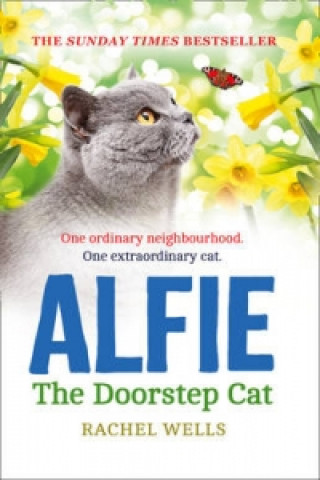 Könyv Alfie the Doorstep Cat Rachel Wells