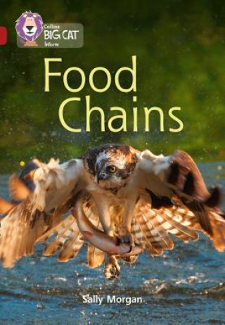 Knjiga Food Chains Sally Morgan