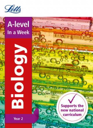 Książka -level Biology Year 2 In a Week Letts A-Level