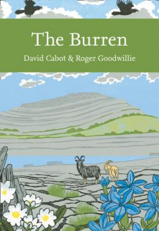 Könyv Burren DAVID CABOT AND ROGE