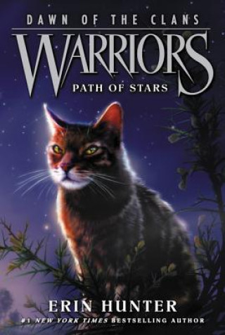 Könyv Warriors: Dawn of the Clans #6: Path of Stars Erin Hunter