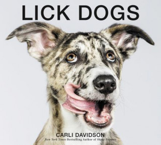 Könyv Lick Dogs Carli Davidson