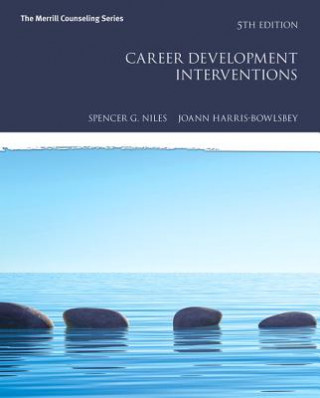 Könyv Career Development Interventions Spencer G. Niles