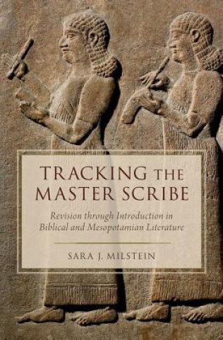 Könyv Tracking the Master Scribe Sara J. Milstein