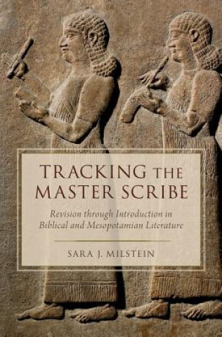 Kniha Tracking the Master Scribe Sara J. Milstein