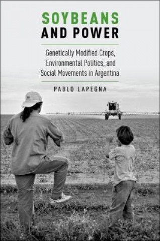 Könyv Soybeans and Power Pablo Lapenga