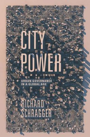 Kniha City Power Richard C. Schragger