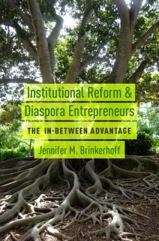 Kniha Institutional Reform and Diaspora Entrepreneurs Jennifer M. Brinkerhoff