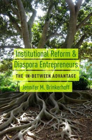 Βιβλίο Institutional Reform and Diaspora Entrepreneurs Jennifer M. Brinkerhoff