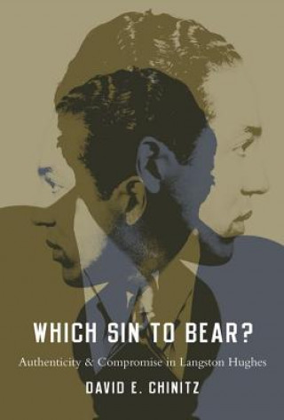 Kniha Which Sin to Bear? David E. Chinitz