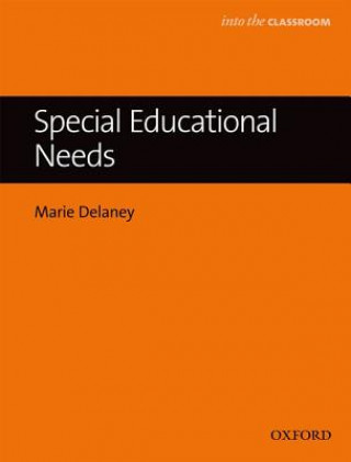 Kniha Special Educational Needs Marie Delaney