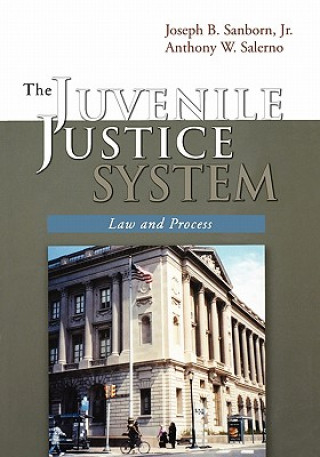 Kniha Juvenile Justice System Joseph B. Sanborn