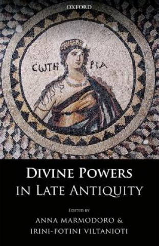 Könyv Divine Powers in Late Antiquity Anna Marmodoro
