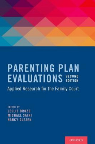 Kniha Parenting Plan Evaluations Leslie Drozd