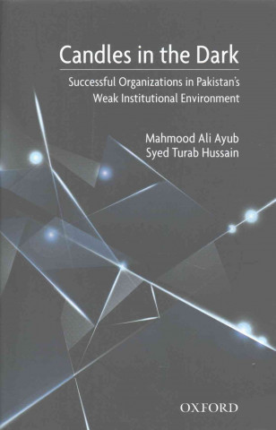 Kniha Candles in the Dark Mahmood Ali Ayub