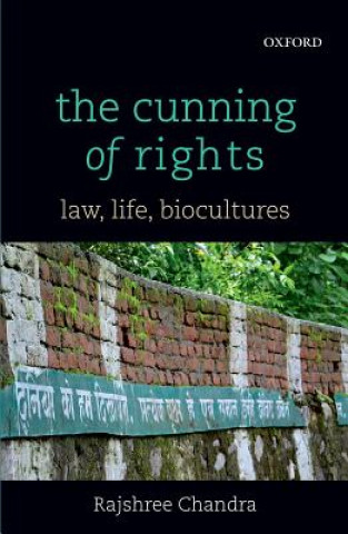 Kniha Cunning of Rights Rajshree Chandra