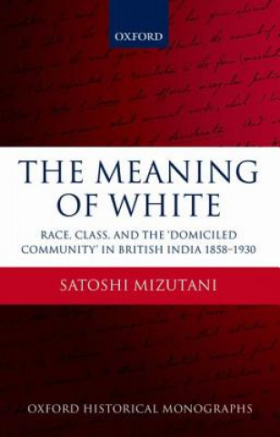 Книга Meaning of White Satoshi Mizutani