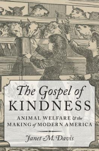 Kniha Gospel of Kindness Janet M. Davis