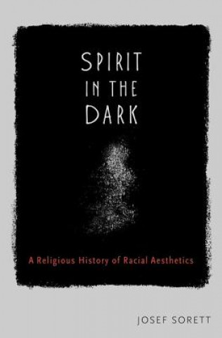 Book Spirit in the Dark Josef Sorett