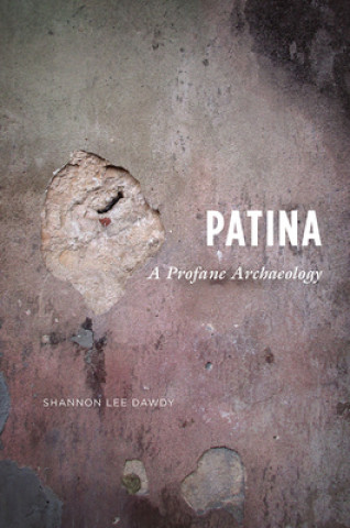 Buch Patina Shannon Lee Dawdy
