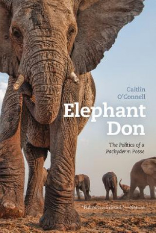 Kniha Elephant Don Caitlin O'Connell