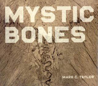 Buch Mystic Bones Mark C. Taylor