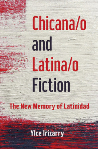 Könyv Chicana/o and Latina/o Fiction Ylce Irizarry